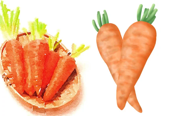 Морква Ізольована Білому Тлі Ілюстрація — стокове фото