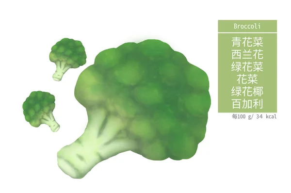 Broccoli Illustration Chinese Inscription Isolated White — Stockfoto