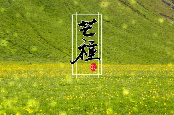 Landscape Green Field Chinese Inscription Background Concept — Stockfoto
