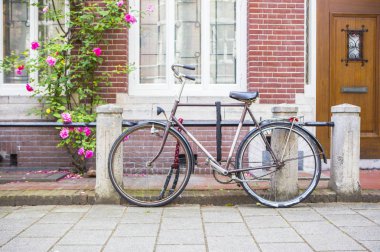 Amsterdam caddesinde bisiklet.