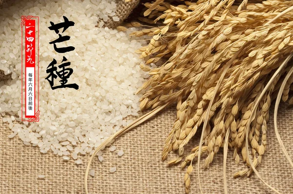 桌布上的米和麦子 — 图库照片