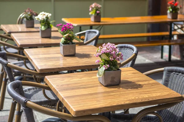 Virágok Asztalokon Kávézóban — Stock Fotó