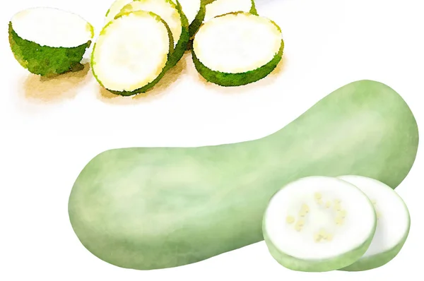 Zucchini Isolated White Background Illustration — ストック写真