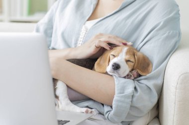 Dizüstü bilgisayar kullanan, köpekli bir kadının kırpılmış fotoğrafı.