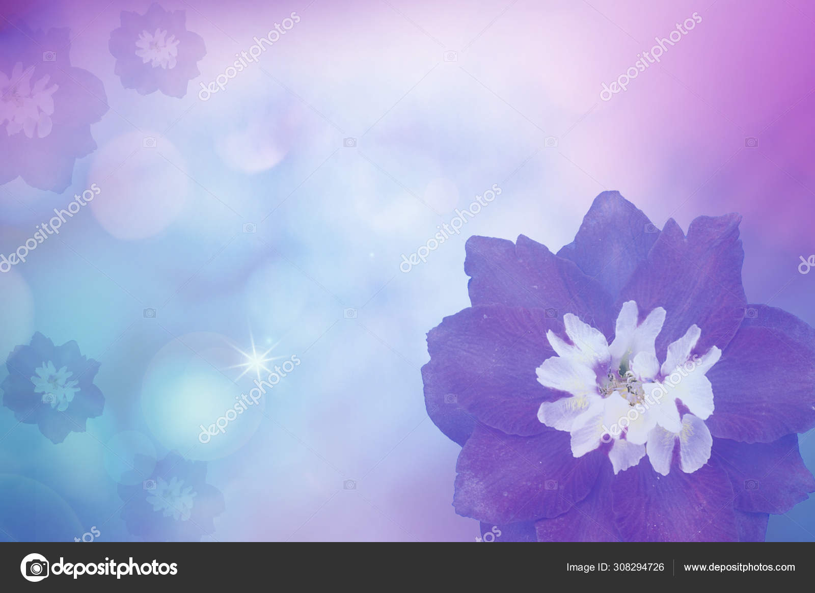 Beautiful Purple Flower Color Background Stock Photo by ©Imagemore