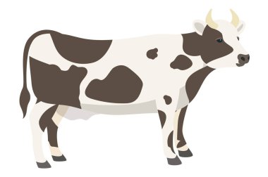 İnek çizimi beyaz arkaplanda izole edildi