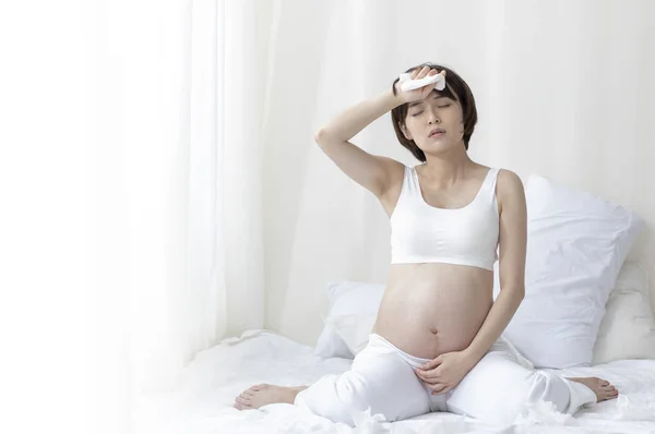 Mladá Krásná Asijské Těhotná Žena — Stock fotografie