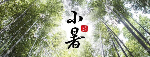 Kaart Met Chinese Kalligrafie Hoge Bamboe Planten — Stockfoto
