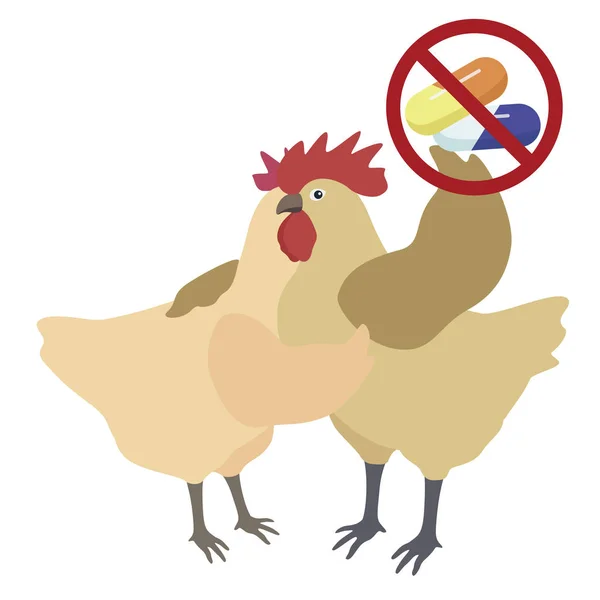 Illustration Von Tierkrankheiten Infektionen Hahn Mit Henne Und Antibiotika — Stockfoto