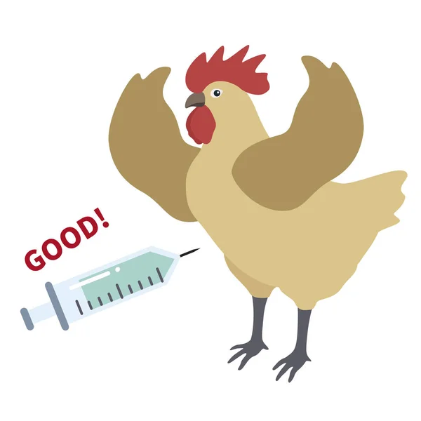 Illustration Von Tierkrankheiten Infektionen Huhn Und Impfstoff — Stockfoto
