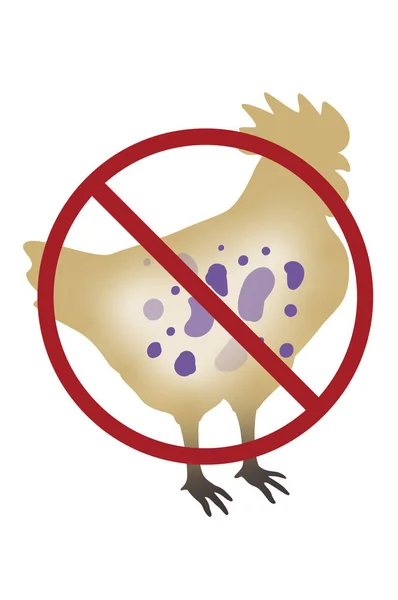 Illustration Animal Illness Infection Rooster — Stok fotoğraf