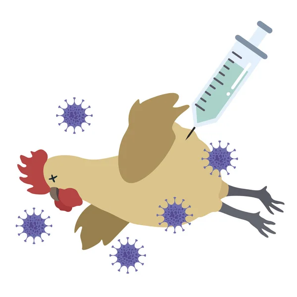 Απεικόνιση Της Ασθένειας Των Ζώων Μόλυνση Κοτόπουλο Και Εμβόλιο — Φωτογραφία Αρχείου