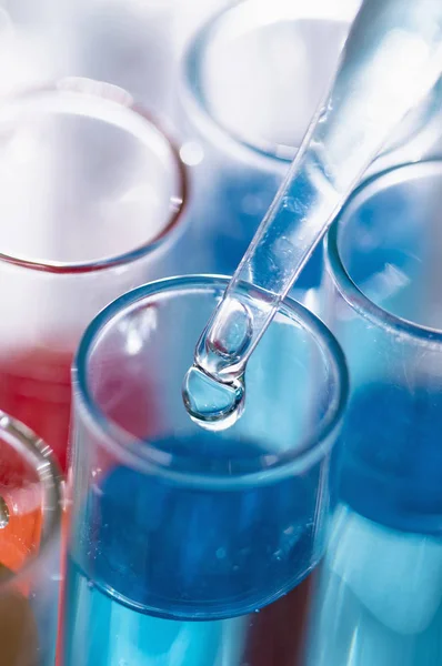 Flasks Bright Liquids Chemical Laboratory — Stock Photo, Image