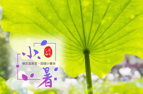 睡蓮の葉のバナーイラストの中国語の碑文 — ストック写真