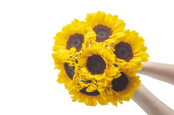 Красивий Букет Соняшників Квітковий Фон — стокове фото