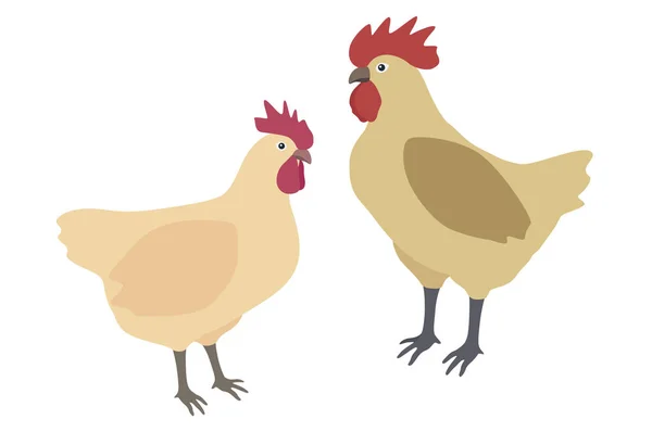 Banner Stylish Illustration Rooster Hen White — Stock Photo, Image