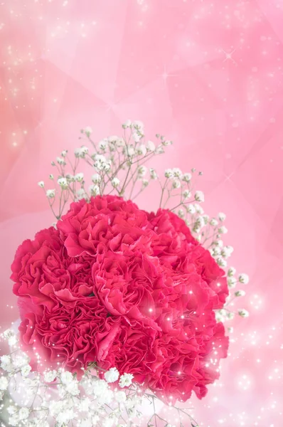 Gyönyörű Piros Virágok Háttérben Közelről — Stock Fotó