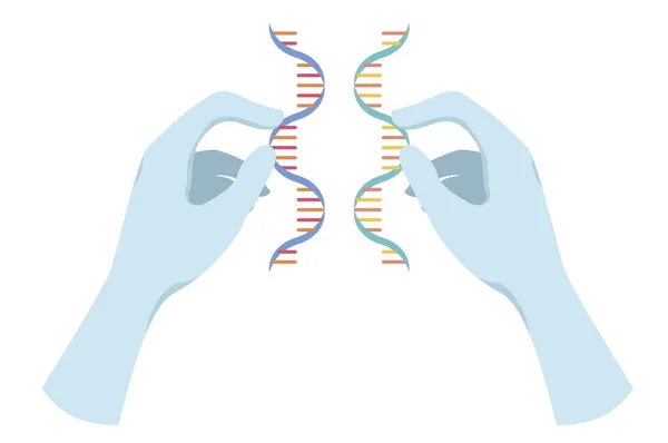 Hands of female scientist holding dna molecule , illustration — Stock Image Hands Female Scientist Holding Dna Molecule Illustration Stock Picture