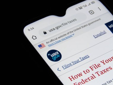 Amerikan gelir vergisi iadesi veya cep telefonunda e-doldurma.