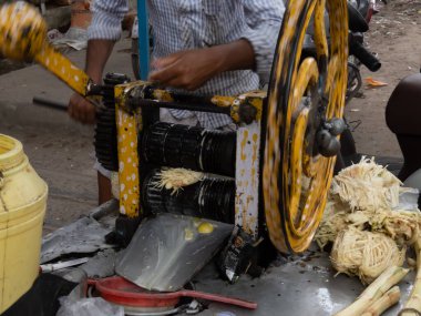 Şeker kamışı makinesinden şeker kamışı özü çıkarıyorum..