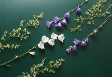 Yeşil arka planda menekşe ve beyaz çan çiçeklerinden yapılmış hassas kompozisyon. Yaz, bahar, Anneler Günü, 8 Mart, Paskalya, düğün konsepti. Düz yatış, üst görünüm