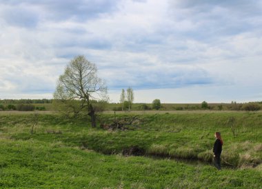 Uzun kızıl saçlı bir kız, yeşil çimlerle kaplı küçük bir nehrin kıyısında duran yalnız bir ağacın manzarasına hayran.