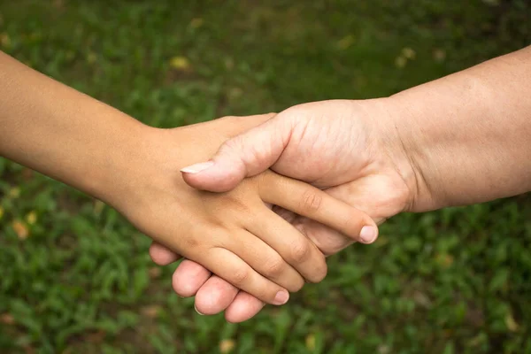 A grandmother and a small child shake hands against a background of green grass. The concept of love and friendship  between generations. International Day of Older Persons and Grandparents Day