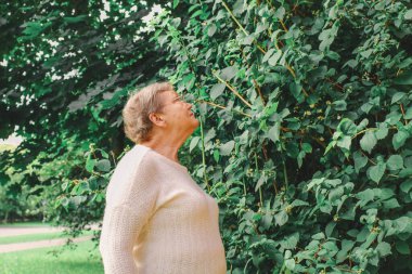 Beyaz yün kazaklı ve gözlüklü yaşlı bir kadın yeşil yaprakların arkasında parkta duruyor ve bir şeyler düşünüyor. Yaşam tarzı. Uluslararası Yaşlılar ve Büyükbabalar Günü