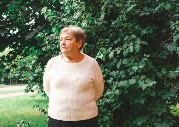 Beyaz yün kazaklı ve gözlüklü yaşlı bir kadın yeşil yaprakların arkasında parkta duruyor ve bir şeyler düşünüyor. Yaşam tarzı. Uluslararası Yaşlılar ve Büyükbabalar Günü