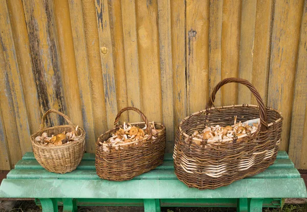 Des Paniers Osier Champignons Récoltés Dans Forêt Trouvent Sur Banc — Photo