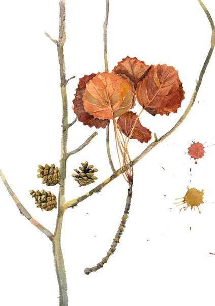 Aquarell Gemälde Von Einem Herbstlichen Ast Der Espe Und Einem — Stockfoto