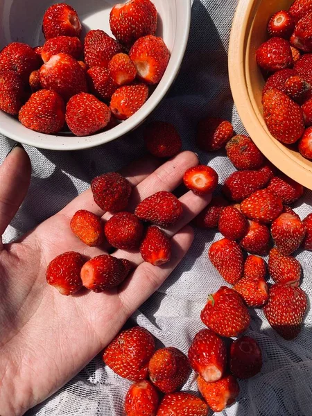 Tabakta Kırmızı Çilekler — Stok fotoğraf