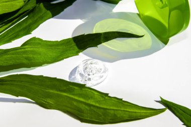 Şeffaf aloe vera jeli yeşil bir tüp. Yeşil yaprakların arasında beyaz bir arkaplanda