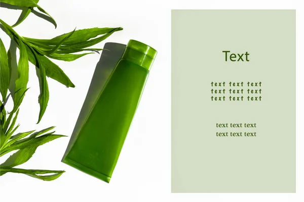 Şeffaf aloe vera jeli yeşil bir tüp. Yeşil yaprakların arasında beyaz bir arka planda. Metin için boşluk