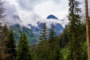 Dağlar. Dağlarda yürüyüş. Dağlarda yağmurlu bir gün. Dağlarda yaz.
