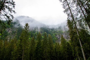 Dağlar. Dağlarda yürüyüş. Dağlarda yağmurlu bir gün. Dağlarda yaz.