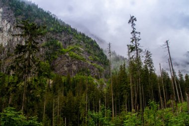 Dağlar. Dağlarda yürüyüş. Dağlarda yağmurlu bir gün. Dağlarda yaz.