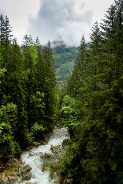 Rzeka Górach Wśród Drzew Deszczowy Dzień Górach Lato Górach — Zdjęcie stockowe