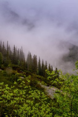 Dağlar. Dağlarda yürüyüş. Dağlarda yağmurlu bir gün. Dağlarda yaz.