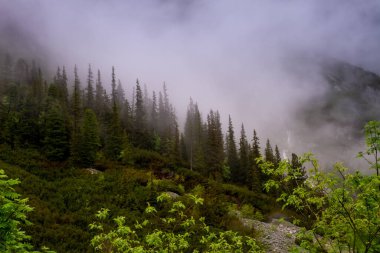 Dağlar. Dağlarda yürüyüş. Dağlarda yağmurlu bir gün. Dağlarda yaz.