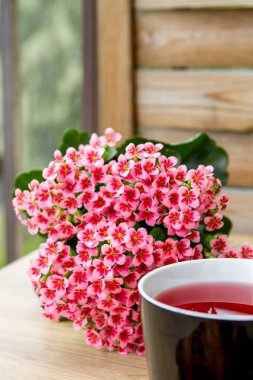 Bir fincan gül çayı. Pembe çiçekler.