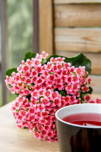 Bir fincan gül çayı. Pembe çiçekler.