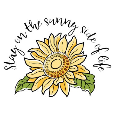Sunshine Alıntı ile Ayçiçeği Tasarımı. Güzel, motive edici, ilham verici ve sevgi dolu bir ayçiçeği alıntısı. İzole edilmiş arkaplanda düz çizgi film tarzında elle çizilmiş illüstrasyon.