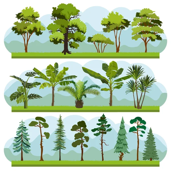 Conjunto Tres Tipos Paisajes Forestales Siluetas Árboles Arbustos Palmeras Árboles — Vector de stock