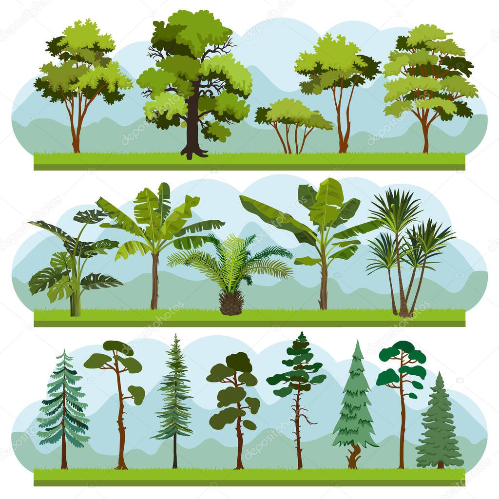 Set of three types of forest landscapes. Silhouettes of trees, bushes and palms. Deciduous and coniferous trees, date and banana palmsForest background. Vector illustration.