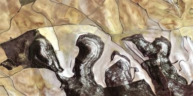 yukarı ve aşağı, Picasso 'ya övgü, İspanya' nın soyut fotoğrafçılığı, hava görüşü, insan çalışma kamplarının temsili, soyut, kübizm, soyut doğalcılık,