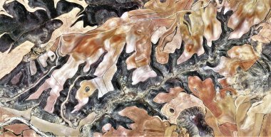 Sonbahar, Picasso 'ya hürmet, İspanya' nın soyut fotoğrafçılığı, hava manzarası, insan çalışma kamplarının temsili, soyut, kübizm, soyut doğalcılık.,