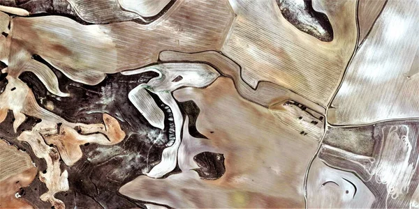 Açlık Picasso Hürmet Spanya Nın Soyut Fotoğrafları Hava Görüşü Insan — Stok fotoğraf