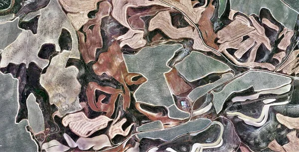 Composition Tribute Picasso Abstract Photography Spain Aerial View Representation Human — Stock Photo, Image