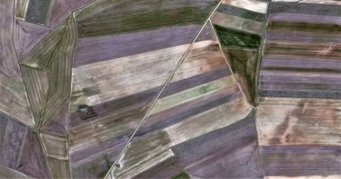 Ayrılmaz, mallow ve ocher kompozisyonu, Picasso 'ya övgü, İspanya topraklarının havadan soyut fotoğrafçılığı, havadan görüş, insan çalışma kamplarının temsili, soyut sanat, 